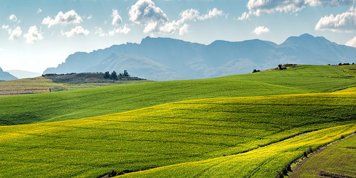 Rolling Fields Poster Print - Artographie