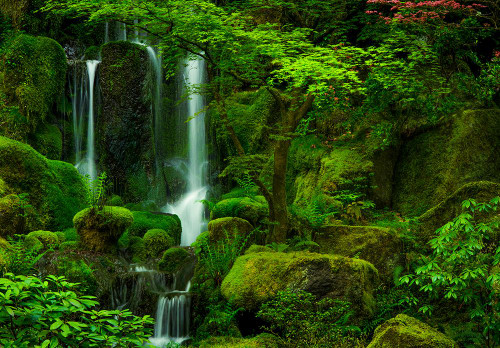 Heavenly Falls in Spring Poster Print - Don Schwartz