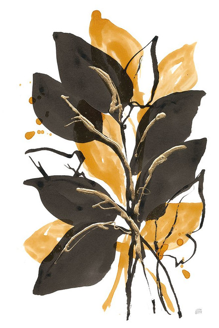 Amber Black and Gold II Poster Print - Chris Paschke