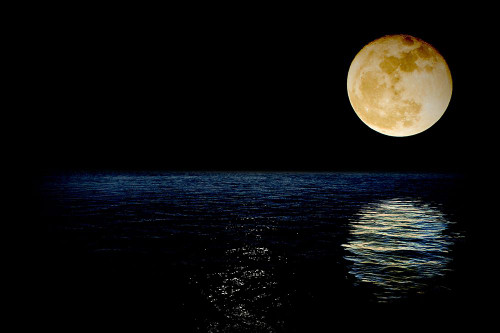 Reflecting the Moon Poster Print - Artographie