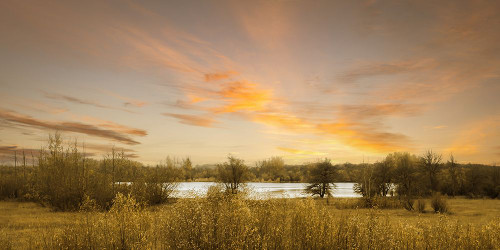 Stillness at Daybreak Poster Print - Don Schwartz