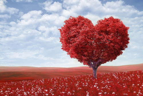 Red Love Poster Print - Artographie