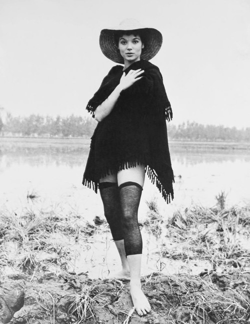 Rice Girl,, Elsa Martinelli, 1956 Poster Print