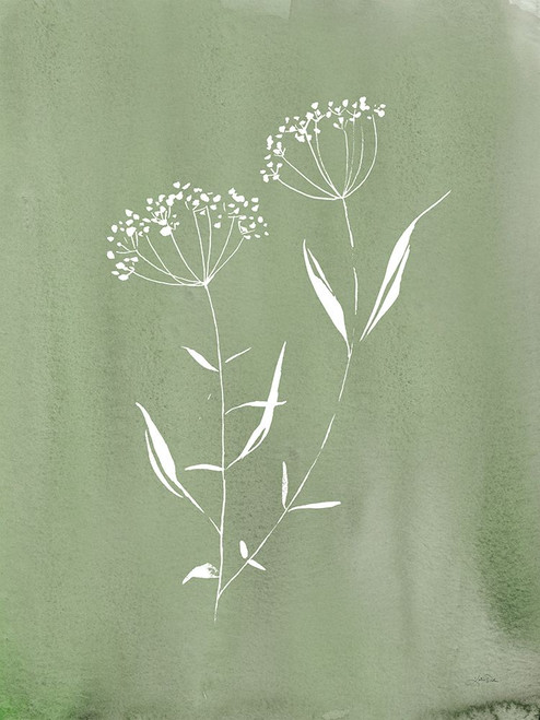 Cottage Wildflowers II Poster Print - Katrina Pete Cottage Wildflowers II Poster Print - Katrina Pete