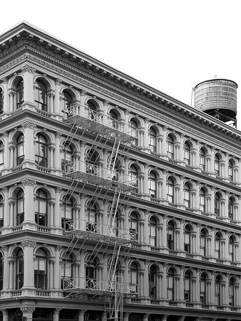 Archi Poster Print - by Clint Shot