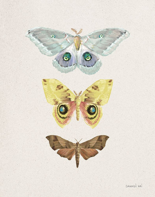 Beauty of the Forest II Poster Print - Danhui Nai