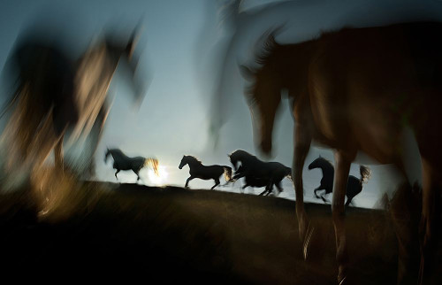 Deliverance Poster Print - Milan Malovrh