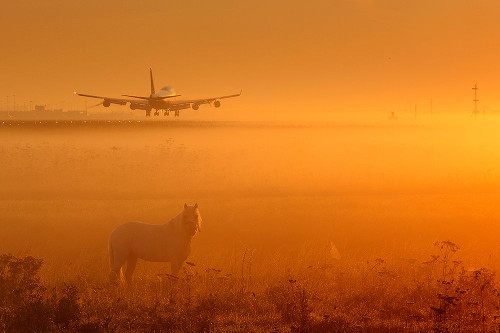 Untitled Poster Print - Max Witjes