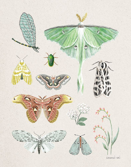 Beauty of the Forest IV Poster Print - Danhui Nai