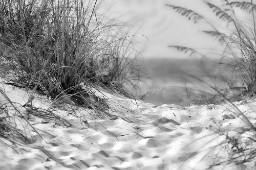Beach Path Poster Print - Artographie