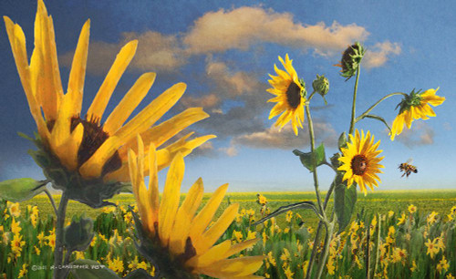 Sunflowers in Kansas Poster Print - Christopher Vest