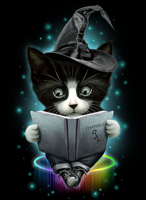 Magical Cat Poster Print - Adam Lawless