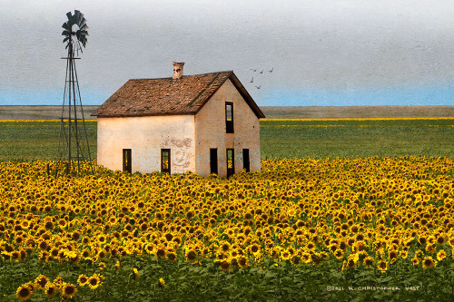 White House with Sunflowers Poster Print - Christopher Vest