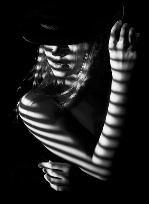 Zebra Lounge Poster Print - Sebastian Kisworo Zebra Lounge Poster Print - Sebastian Kisworo