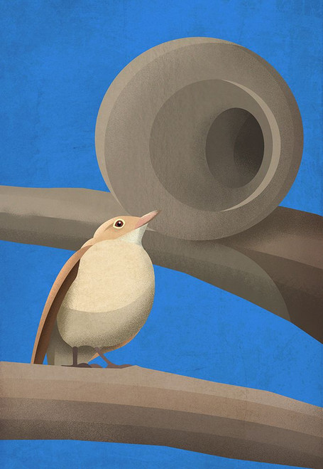 Hornero Poster Print - Franco Caballero