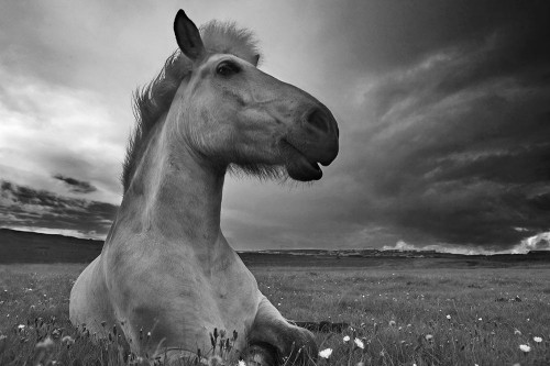 Moment In Time Poster Print - Bragi Ingibergsson