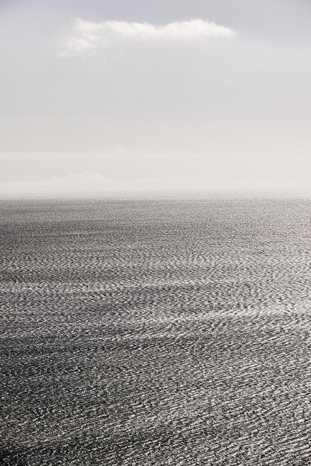 Carbon Seas Poster Print - by Clint Shot