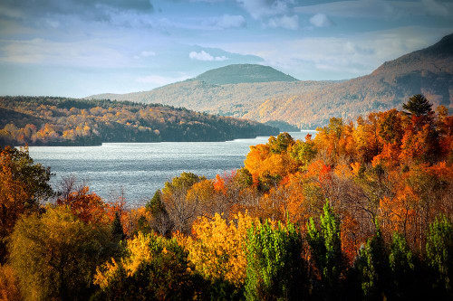 Forest Lake Poster Print - Rachel Lee