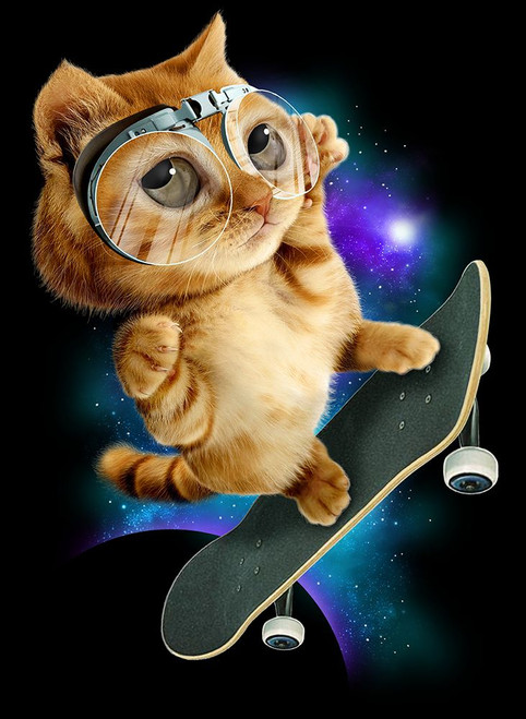 cat on skateboard Poster Print - Adam Lawless