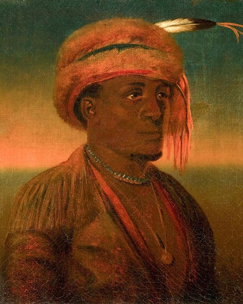 Portrait of a Native American Poster Print - Karl Ferdinand Wimar