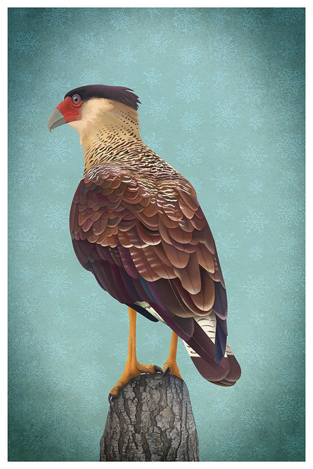 Carancho Poster Print - Franco Caballero