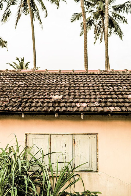 Cabin Fever Poster Print - by Clint Shot