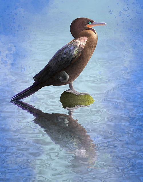 River Bigua Poster Print - Franco Caballero