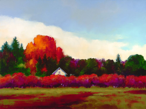 Grapevines in Autumn Poster Print - Donna Young