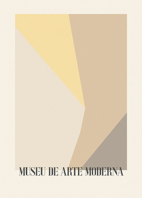 Museu De Arte Moderna 02 Poster Print - Studio Pictufy