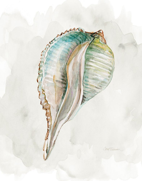 Pastel Shell I Poster Print - Carol Robinson