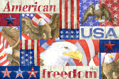 Patriotic Fragments Horizontal Poster Print - Paul Brent