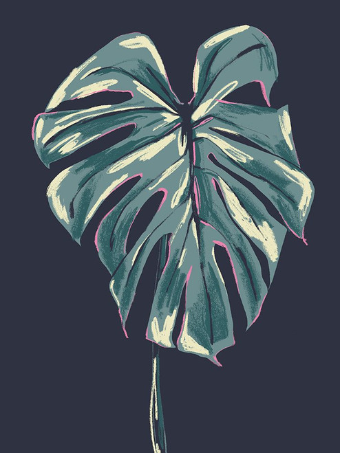 Monstera Deliciosa Dark Poster Print - Francesco Gulina