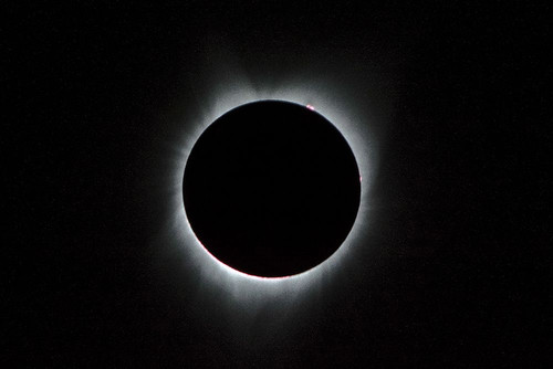 2017 Total Solar Eclipse Poster Print - NASA