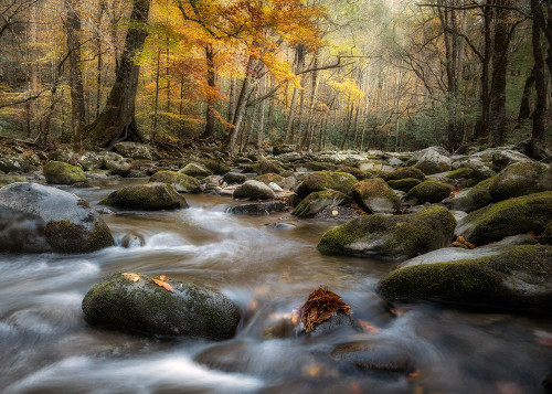 Dreamy Autumn Poster Print - Danny Head