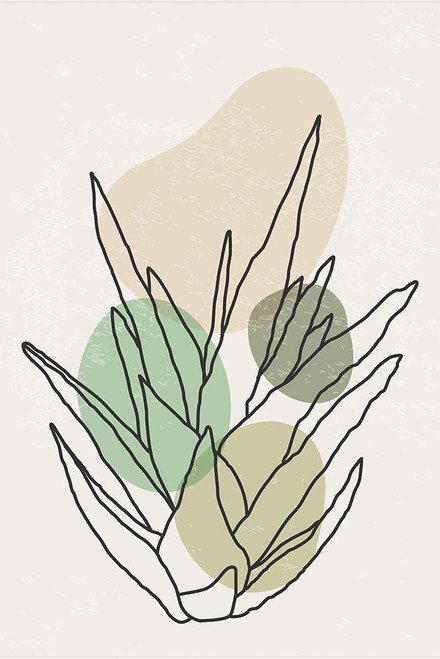 Color Abstract Agave #1 Poster Print - Jay Stanley