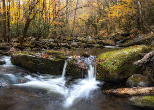 Tremont Dusk Poster Print - Danny Head