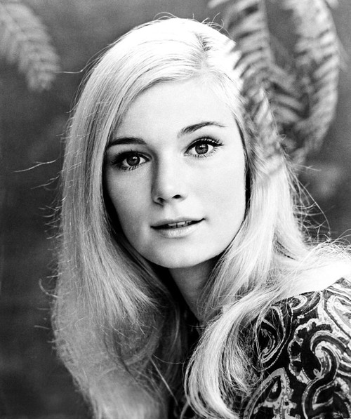 The Reward, Yvette Mimieux, 1965, Tm & Copyright 20Th Century Fox Film Corp./Courtesy Everett Collection Poster Print