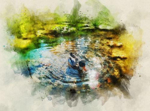 Bird 34 Watercolor Poster Print - Rachel Lee