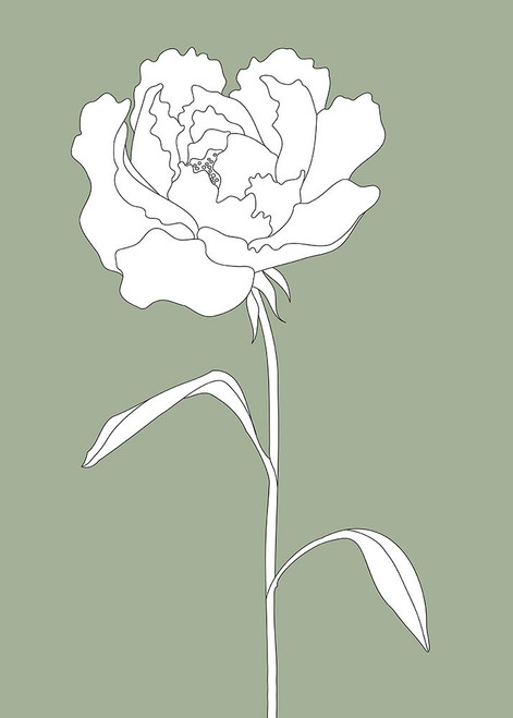 Rose in Green Poster Print - Studio II Pictufy