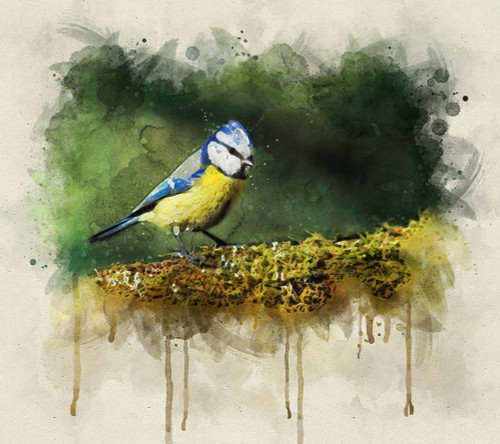 Bird 3 Watercolor Poster Print - Rachel Lee