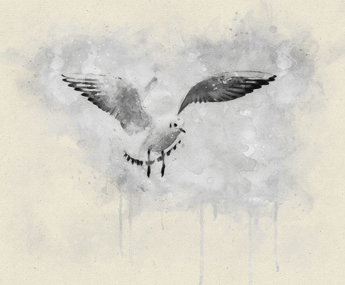 Bird 14 Watercolor Poster Print - Rachel Lee