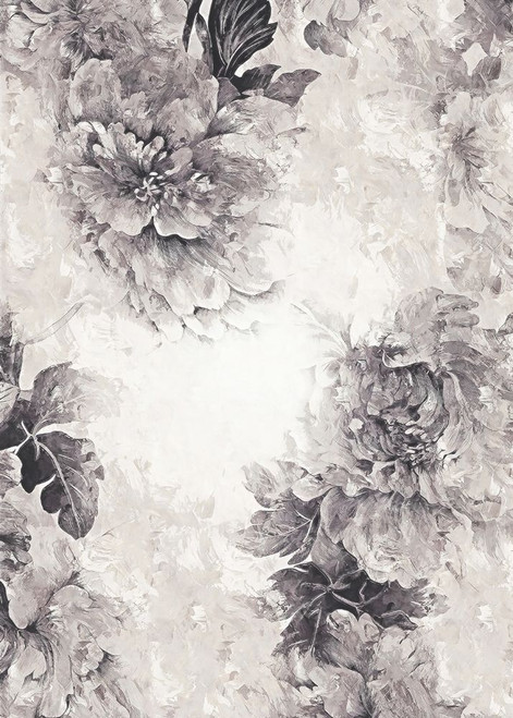 Poster 50x70 Flower01xa Hl Poster Print - Rafal Kulik