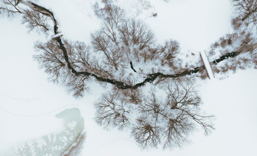 After snow Poster Print - Wei Dai