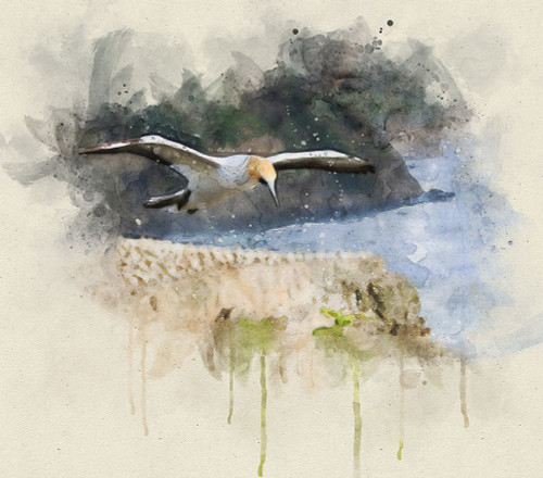 Bird 19 Watercolor Poster Print - Rachel Lee