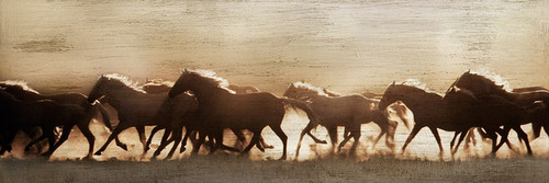 Frontier Stampede Poster Print - Danita Delimont