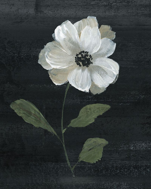 Country Botanical I Poster Print - Nan