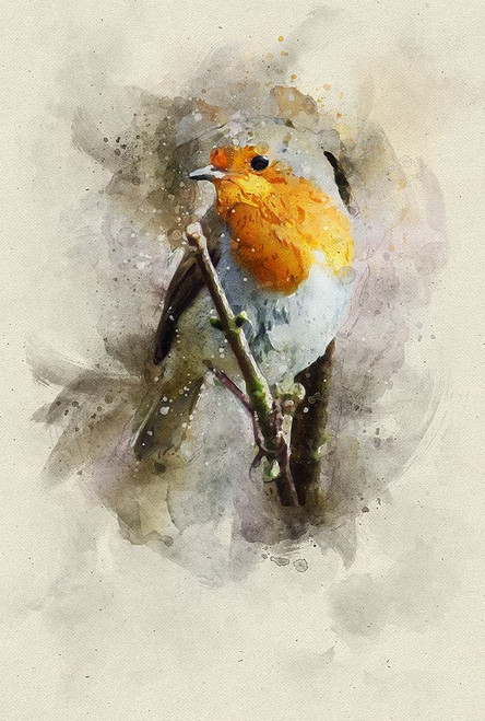 Bird 15 Watercolor Poster Print - Rachel Lee