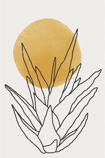 Abstract Agave Sunshine #3 Poster Print - Jay Stanley