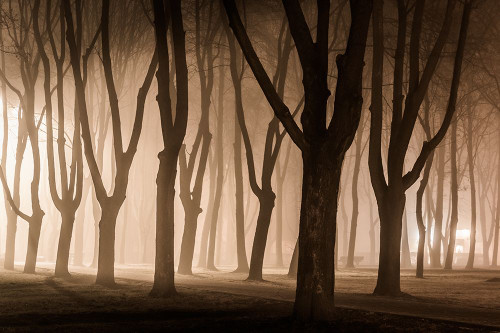 Last day of November Poster Print - Aneta Mikulska