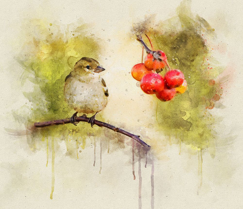 Bird 1 Watercolor Poster Print - Rachel Lee